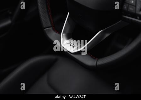 Unterteil des SITZLENKRADS mit silbernen Elementen. Lederlenkrad mit Schriftzug „FR“. Innenausstattung eines modernen SUV mit Ledersitzen. Stockfoto