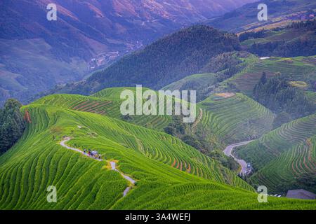 Longji-Reisterrassen auf dem Yaoshan-Berg in Guangxi, China, Sonnenaufgangslicht Stockfoto
