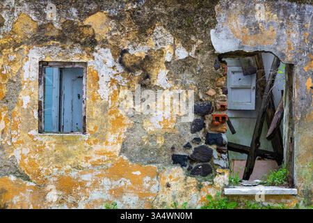 Altes Gebäude closeup​​ Oberfläche brick​ wall​ Beton rough​ plaster​ for​ vintage​ Hintergrund. Raue Ocker-Zementfarben und grünes Moos. Stockfoto