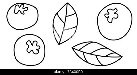 Umrissene Illustrationen von Beeren und Blättern mit einfacher künstlerischer Linienführung Stock Vektor