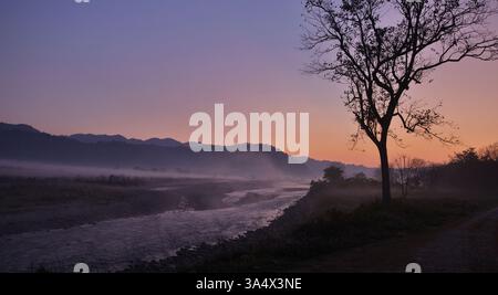 Ein nebeliges Panorama der Dämmerung im Jim Corbett National Park, Uttarakhand, Indien. Stockfoto
