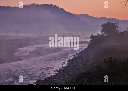 Eine Nebelsonde im Jim Corbett National Park, Uttarakhand, Indien. Stockfoto