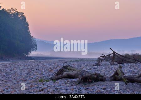 Eine Nebelsonde im Jim Corbett National Park, Uttarakhand, Indien. Stockfoto