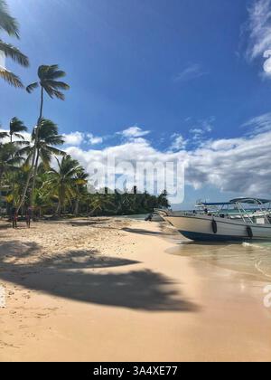 Eine ruhige Ecke der Insel Saona, wo weicher Sand auf das Ufer trifft, ein kleines Boot am Strand ruht und Palmen die friedliche Szene einrahmen Stockfoto