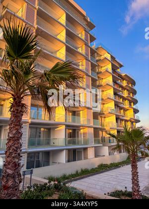 Helle Fassade eines modernen Hochhauses, beleuchtet durch direktes Sonnenlicht. Im Vordergrund sorgen die hohen Palmen für eine warme und einladende Atmosphäre, perfekt für einen Sommer. Stockfoto