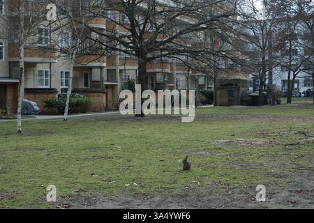 Seimensstadt in Berlin Charlottenburg 2025 umfasst ikonische Sozialwohnungen 1929–34, die von Architekten unter anderem Walter Gropius entworfen wurden. Stockfoto
