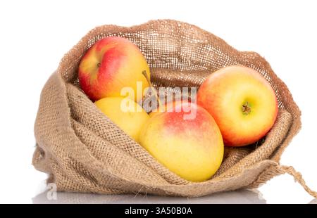 Mehrere saftige Äpfel in einem Jutebeutel, Makro, isoliert auf weißem Hintergrund. Stockfoto