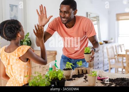 Afroamerikaner Vater und Tochter sind High-Five beim Pflanzen von Kräutern zu Hause Stockfoto