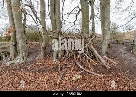 Überreste eines Bushcraft-Schutzhofes im Wald Stockfoto