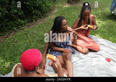 Schwarze Frau genießt Eis mit Freunden bei einem sonnigen Picknick im Park. Ein warmer, entspannter Moment der Freundschaft und Freizeit im Freien. Stockfoto