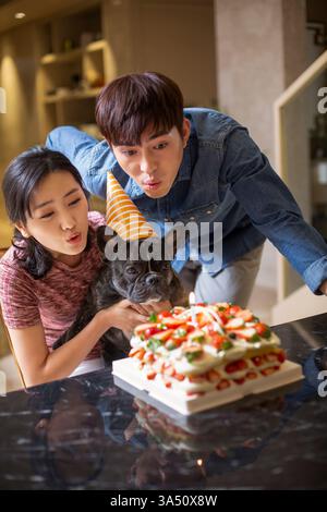 Ein chinesisches Paar bläst Kerzen auf einer Geburtstagskuche aus, um den Geburtstag ihres Hundes zu feiern. Die Szene verbindet Familienleben, Tierpflege und Hausfeier mit einer französischen Bulldogge. Ideal für Haustierbesitzer, Geburtstagsfeiern und Geschichten über den Lebensstil zu Hause. Stockfoto