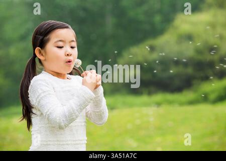 Süßes chinesisches Mädchen mit einem Löwenzahn draußen im Park. Sie sprengt die Löwenzahnsamen, ein fröhlicher Moment, der Verspieltheit und die Freuden der Natur verkörpert. Ideal für den Lebensstil von Kindern, im Freien und im Frühling. Stockfoto