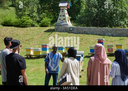 Verschiedene Gruppen, einschließlich afrikanischer und nahöstlicher Muslime, die eine Honigfarm besuchen. Authentische Bilder für Reisen und kulturellen Lebensstil, perfekt für Themen wie Bildung, Gemeinschaft und Nachhaltigkeit. Die Szene zeigt die Honigproduktion und das Engagement der Gruppe. Stockfoto
