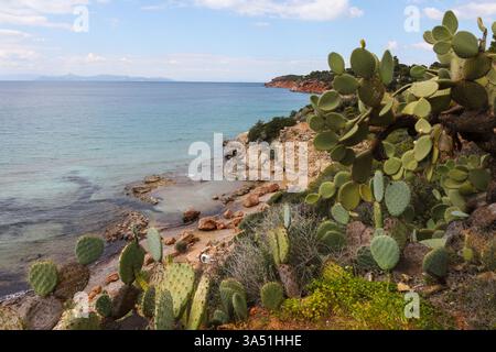 Ein malerischer Blick auf den Strand von Paragkes in Vouliagmeni, Athen, eingerahmt von lebhaften Kakteen aus Feigenkaktus Stockfoto