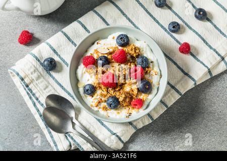 Süßer gesunder hausgemachter griechischer Joghurt mit Müsli zum Frühstück mit Beeren Stockfoto