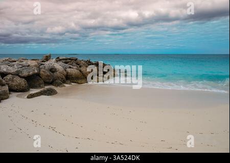Bimini Beach mit Felsen auf den Bahamas Stockfoto