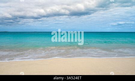 Tropischer Strand in Bimini, den Bahamas Stockfoto