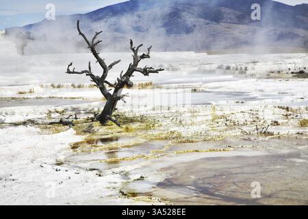 Unglaublich fantastische Landschaft im Yellowstone-Nationalpark Stockfoto