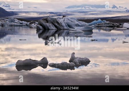 Lichtdurchlässige Eisberge in der Eislagune Jokulsarlon. Südost-Island. Rosa Sonnenuntergang im Juli Stockfoto