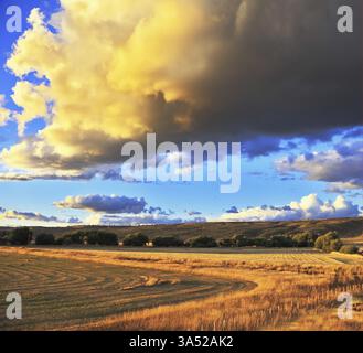 Die riesige Sturmwolke und eine flache Ebene bedeckt mit orangefarbenem Sonnenuntergang. In der Steppe verläuft eine Schotterstraße. Sturm über die Pampas Stockfoto