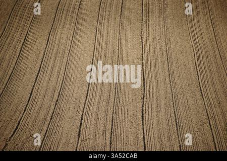 Spuren und Furchen, die durch Traktorreifen auf einem Feld verursacht werden Stockfoto