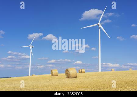 Strohballen auf einem geernteten Getreidefeld, Stoppelfeld, Windturbinen im Hintergrund, Nossen, Sachsen, Deutschland, Europa Stockfoto