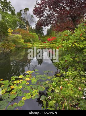 Ein Teich fallenden Blätter einer Lilie, umgeben von blühenden Büschen und Trauerweiden Stockfoto