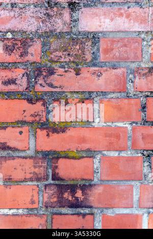 Nahaufnahme einer verwitterten Ziegelwand mit verschiedenen Rot- und Orangetönen. Alterungserscheinungen verleihen Charakter und heben die Textur der Steine hervor Stockfoto