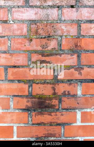 Nahaufnahme einer verwitterten Ziegelmauer mit verschiedenen Rot- und Brauntönen, mit Anklängen von Moos und Schmutz, die den Verlauf der Zeit und des U hervorheben Stockfoto