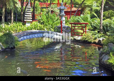 Schöner Teich mit Goldfischen. Die Ufer des Teichs umzäunten Geländer im roten chinesischen Stil. Über den Teich, der von einer anmutigen Brücke überspannt wird. In den Tiefen des PA Stockfoto