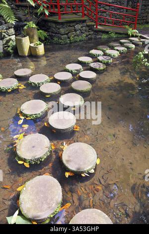 Lustige Stümpfe, gesäumt in einem flachen Teich. Die Ufer des Teichs umzäunten Geländer im roten chinesischen Stil. Gut gepflegter alter Park an einem sonnigen Tag Stockfoto