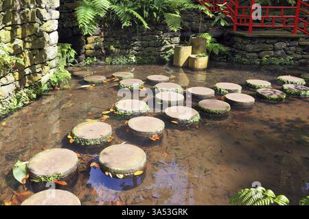 Lustige Stümpfe, gesäumt in einem flachen Teich. Die Ufer des Teichs umzäunten Geländer im roten chinesischen Stil. Gut gepflegter alter Park an einem sonnigen Tag Stockfoto