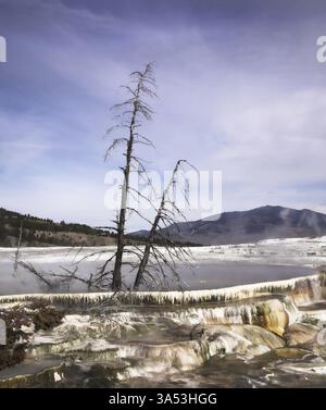 Fantastische Landschaft im Yellowstone-Nationalpark Stockfoto