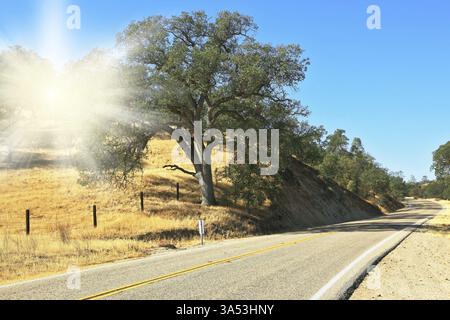 Die helle Sonne beleuchtet die ländliche Straße in Kalifornien. Herbsttag Stockfoto