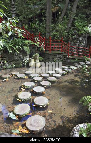 Lustige Stümpfe, gesäumt in einem flachen Teich. Die Ufer des Teichs umzäunten Geländer im roten chinesischen Stil. Gut gepflegter alter Park an einem sonnigen Tag Stockfoto