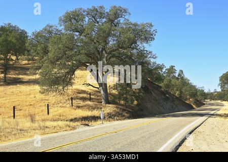 Die Sonne erleuchtet die Landstraße in Kalifornien. Herbsttag Stockfoto