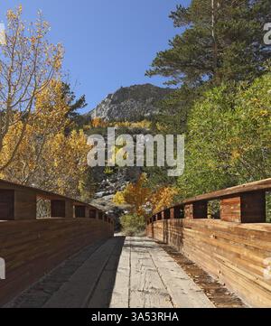 Die kleine hölzerne Brücke durch den Gebirgsbach, die von der hellen Sonne erstrahlt wird Stockfoto