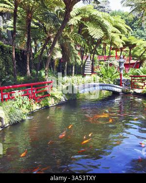 Schöner Teich mit Goldfischen. Die Ufer des Teichs umzäunten Geländer im roten chinesischen Stil. Über den Teich, der von einer anmutigen Brücke überspannt wird Stockfoto