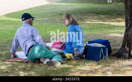 Genießen Sie ein Picknick im Schatten Stockfoto