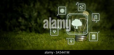 Baumsymbole wachsen auf Glühbirne mit Sonnenschein in der Natur. Energieeinsparung und umweltfreundliches Konzept Stockfoto