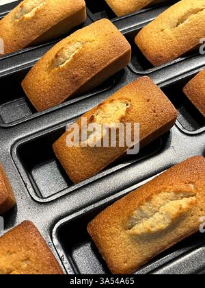 Nahaufnahme von frisch gebackenen goldbraunen Finanziers in einem Backblech, traditionellen französischen Mandelkuchen mit knusprigem Rand und feuchtem Zentrum. Stockfoto