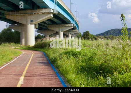Gwangju, Südkorea - 24. September 2020: Ein Abschnitt des Yeongsangang Bike Path verläuft unter einer Betonbrücke, umgeben von üppigem Grün und Tal Stockfoto