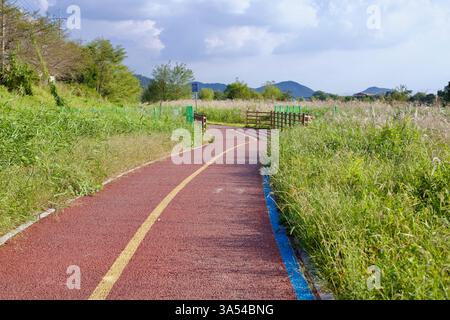 Gwangju, Südkorea - 24. September 2020: Ein gewundener Abschnitt des Yeongsan River Radweges führt durch ein üppiges Feuchtgebiet, das von hoher grasse begrenzt wird Stockfoto