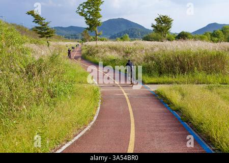 Gwangju, Südkorea - 24. September 2020: Eine Gruppe von Radfahrern fährt entlang des gewundenen Yeongsangang Bike Path, umgeben von hohen Gräsern und sanft Stockfoto