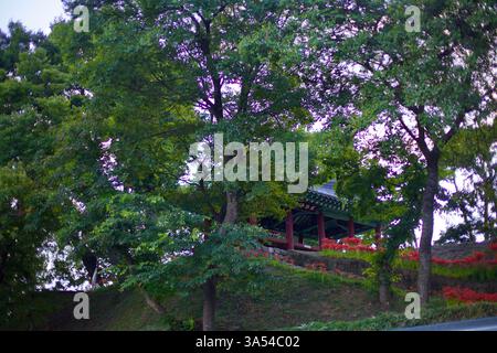 Gwangju City, Südkorea - 24. September 2020: Der Pungyeong Jeong Pavilion, ein historisches Gebäude aus der Joseon-Ära, befindet sich auf einem Hügel, der von dichten Bäumen umgeben ist Stockfoto
