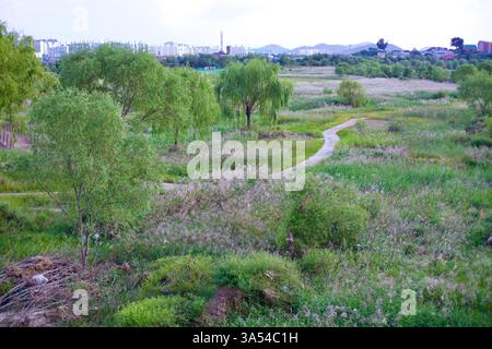 Gwangju, Südkorea - 24. September 2020: Ein gewundener Pfad schlängelt sich durch die üppigen Feuchtgebiete entlang des Yeongsan River, umgeben von Weiden und hoch Stockfoto