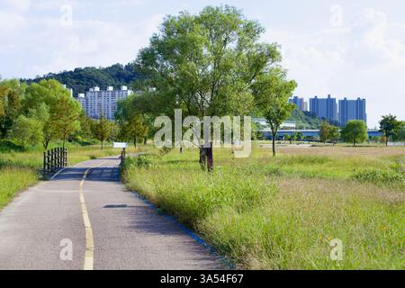 Gwangju City, Südkorea - 24. September 2020: Ein von Bäumen gesäumter Abschnitt des Yeongsangang Bike Path schlängelt sich durch offenes Grasland mit einem modernen Hochgebirge Stockfoto