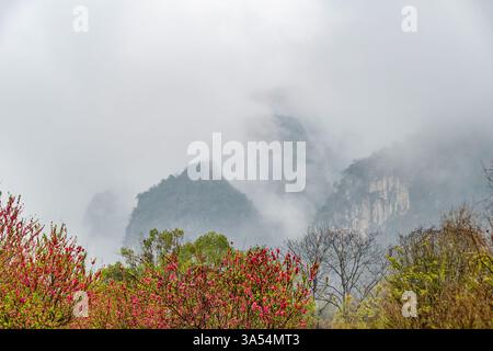 Pfirsichblüten in Blüte gegen majestätische Karstberge Stockfoto