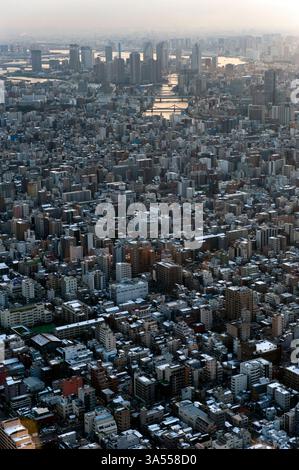 Panoramablick auf die endlose Zersiedelung der Metropolstadt Tokio vom Gipfel des Tokio Skytree in Sumida Ward, Tokio, Japan. Stockfoto