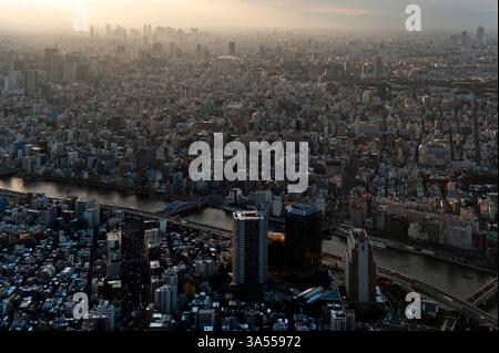 Panoramablick auf die endlose Zersiedelung der Metropolstadt Tokio vom Gipfel des Tokio Skytree in Sumida Ward, Tokio, Japan. Stockfoto